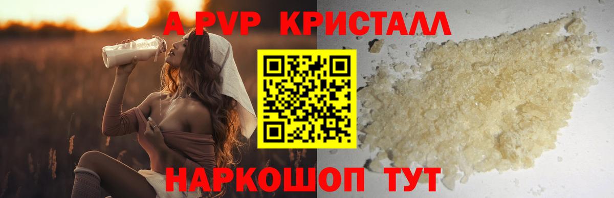 A PVP СК Королёв