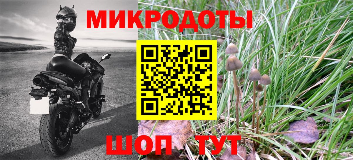 Псилоцибиновые грибы мицелий Королёв